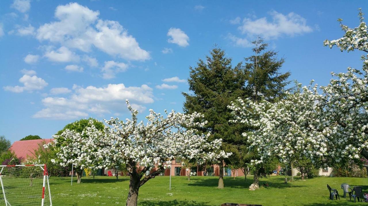 Landferienhof "Mueritzufer" Ludorf Extérieur photo
