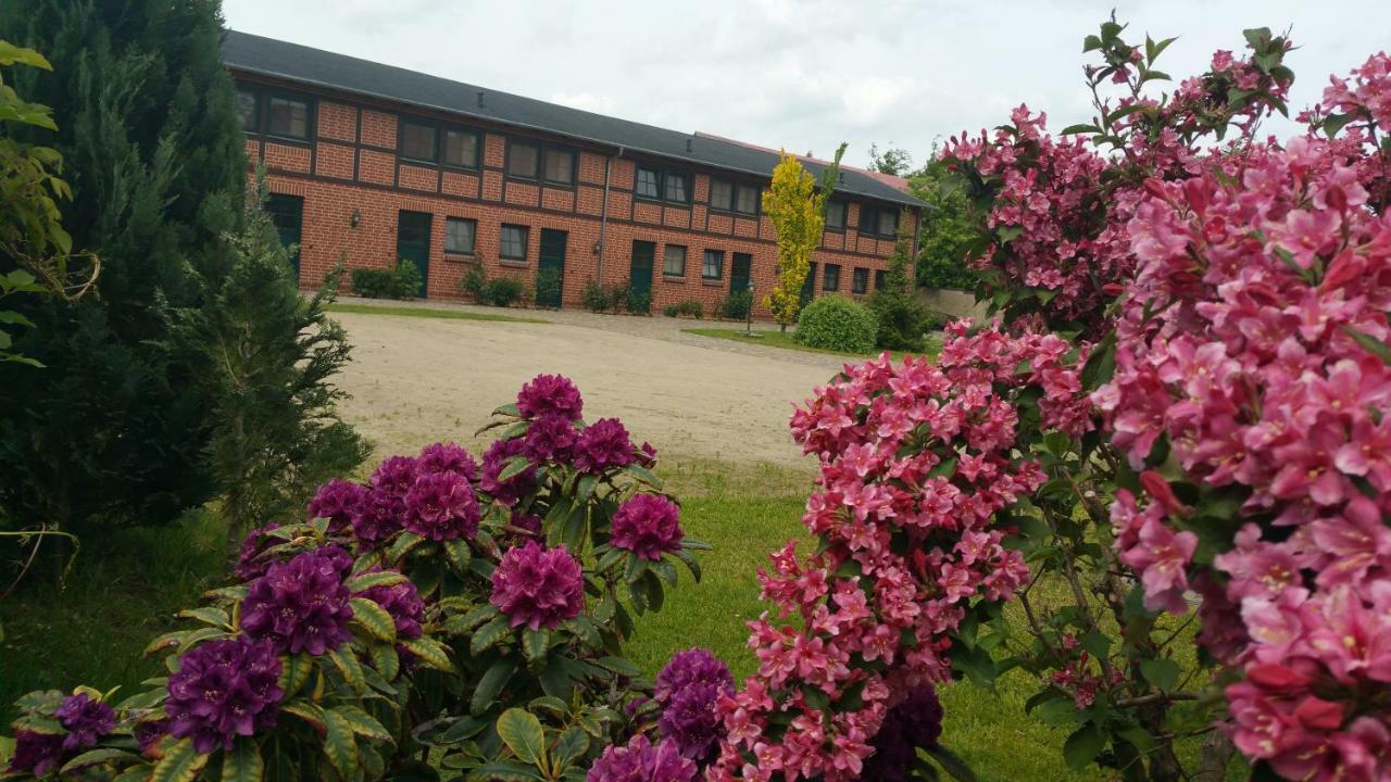 Landferienhof "Mueritzufer" Ludorf Extérieur photo